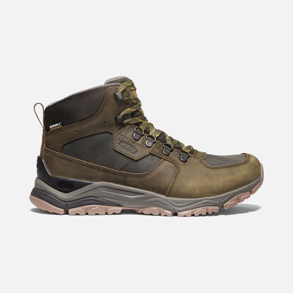 Keen Vandringskängor Herr Olivgröna - Innate Läder Waterproof - 093568SIK